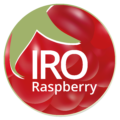 IRO Raspberry